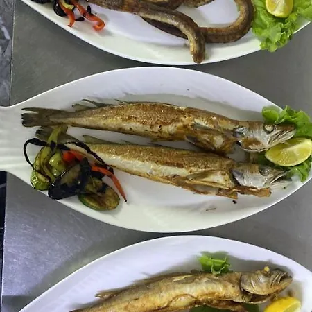 Natyra E Ishullit - Hotel, Ristorant, - Lezhe, Shengjin, Shengjin Lezhe, Shengjin, Lezhe Feriested