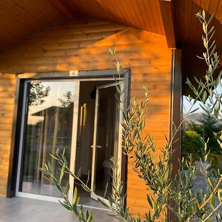 Natyra E Ishullit - Hotel, Ristorant, - Lezhe, Shengjin, Shengjin Lezhe, Shengjin, Lezhe リゾート Ishull-Shëngjini