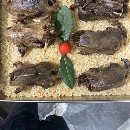 Natyra E Ishullit - Hotel, Ristorant, - Lezhe, Shengjin, Shengjin Lezhe, Shengjin, Lezhe * Ishull-Shëngjini