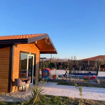 Natyra E Ishullit - Hotel, Ristorant, - Lezhe, Shengjin, Shengjin Lezhe, Shengjin, Lezhe