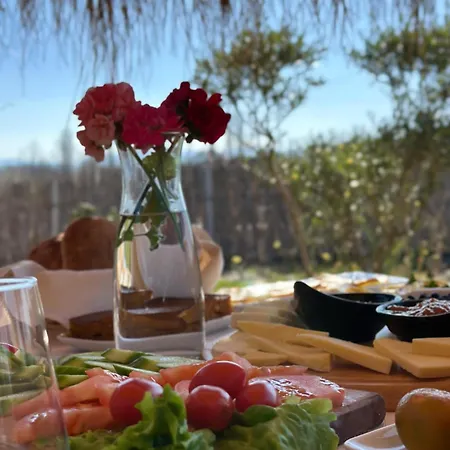 Natyra E Ishullit -resort- リゾート