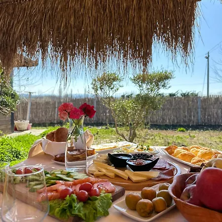 Feriested Natyra E Ishullit - Hotel, Ristorant, - Lezhe, Shengjin, Shengjin Lezhe, Shengjin, Lezhe