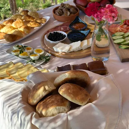 Natyra E Ishullit -resort- Ishull-Shëngjini