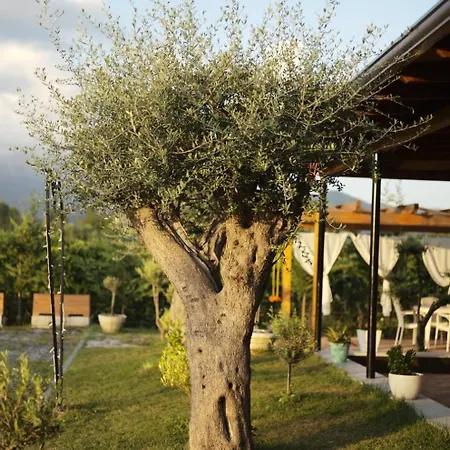 منتجع Natyra E Ishullit - Hotel, Ristorant, - Lezhe, Shengjin, Shengjin Lezhe, Shengjin, Lezhe *